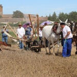 Castrillo de Villavega (Palencia) se rinde ante la Fiesta de la Trilla