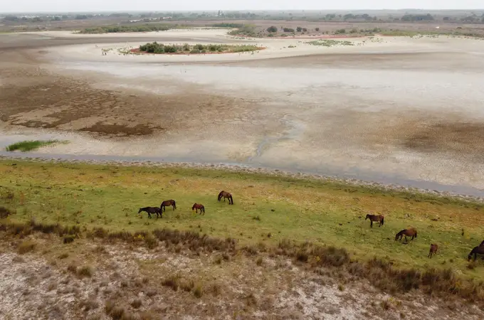 Doñana cumple 54 años ante el abismo de la sequía