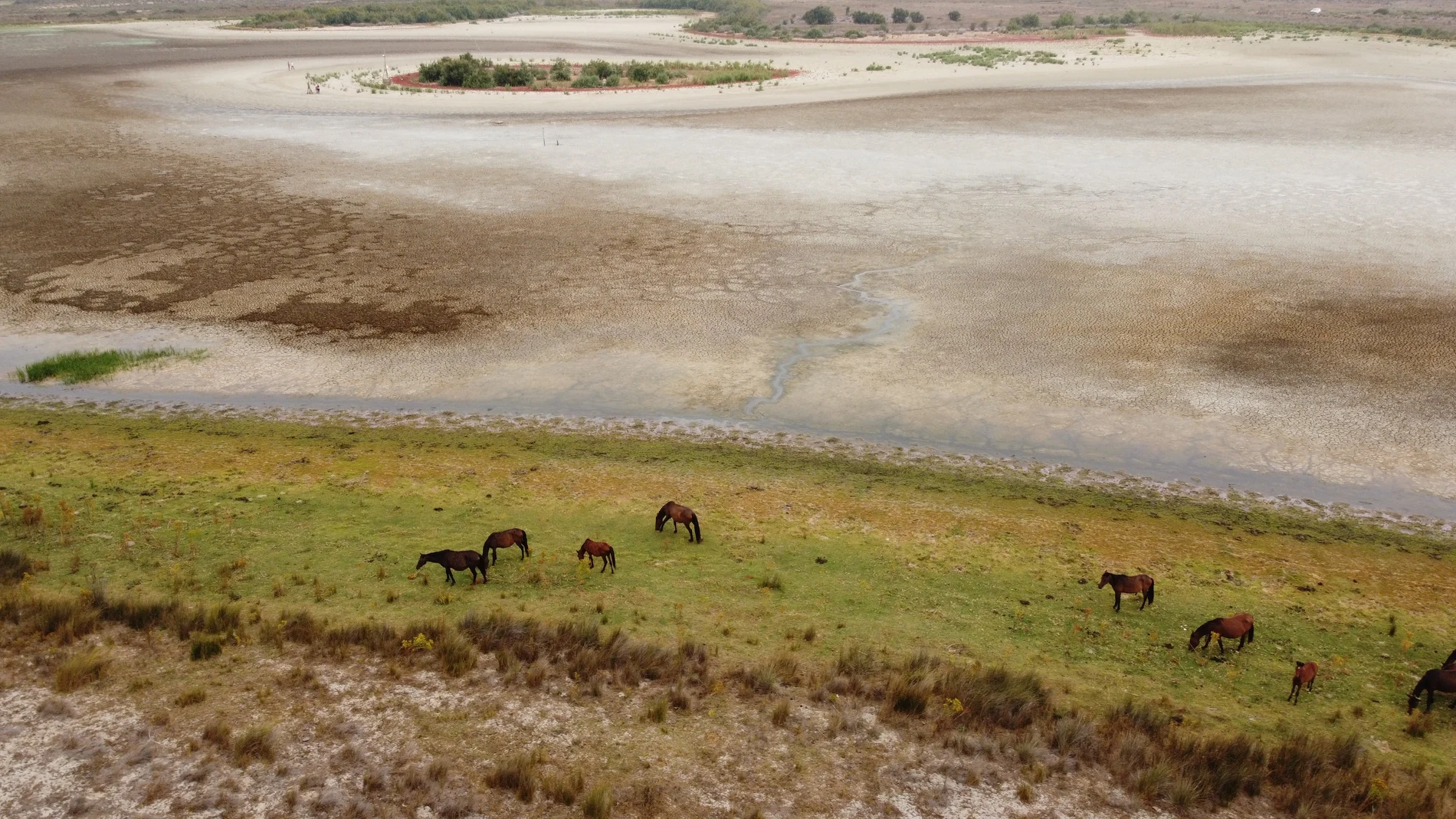Vista de la laguna de Santa Olalla en el Parque Nacional de Doñana