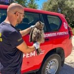 Más de la mitad de los incidentes, el 58 %, están relacionadas con la pérdida o el abandono de animales domésticos