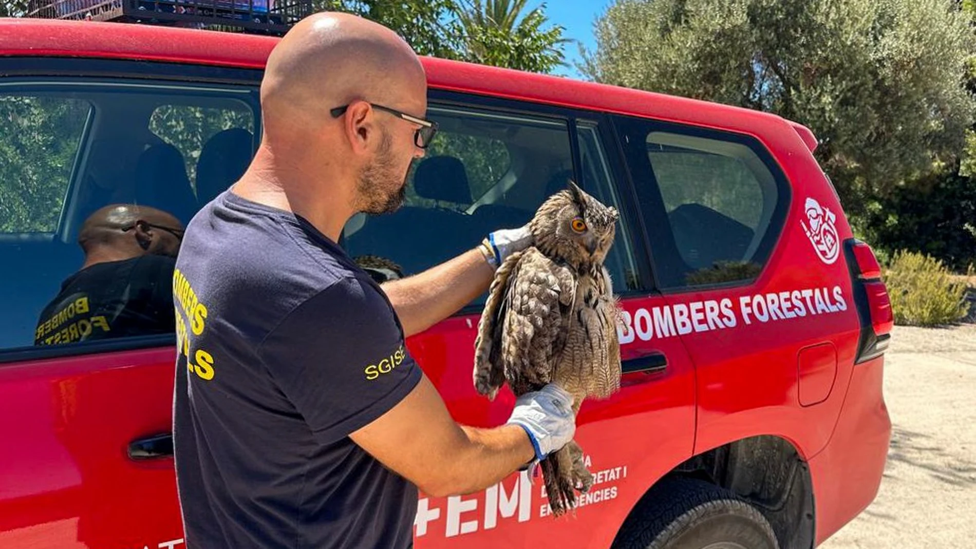 Más de la mitad de los incidentes, el 58 %, están relacionadas con la pérdida o el abandono de animales domésticos