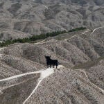 Desierto de los Monegros, situación de los regadíos en España