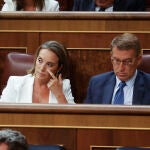 Sesión constitutiva de las Cortes Generales de la XV Legislatura / Congreso
