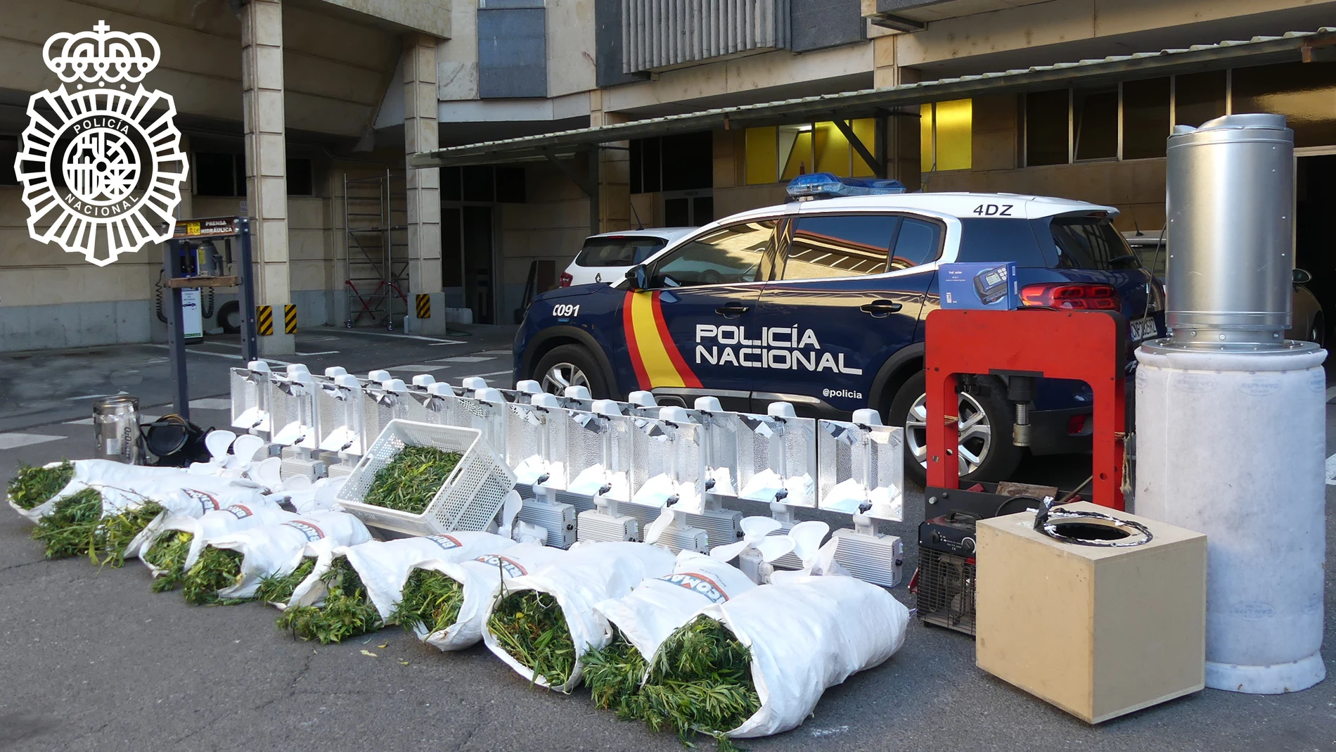 Detenido con 460 plantas de marihuana indoor en una nave del polígono industrial de Peñasolana (Salamanca)