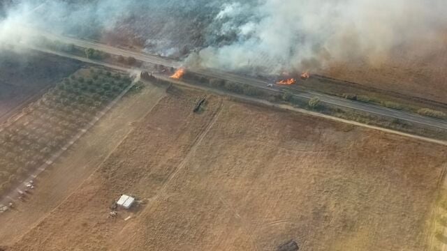 Incendios.-Declarado un incendio en Moguer (Huelva) y movilizadas cuatro aeronaves y cinco grupos de bomberos forestales