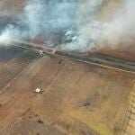Incendios.-Declarado un incendio en Moguer (Huelva) y movilizadas cuatro aeronaves y cinco grupos de bomberos forestales