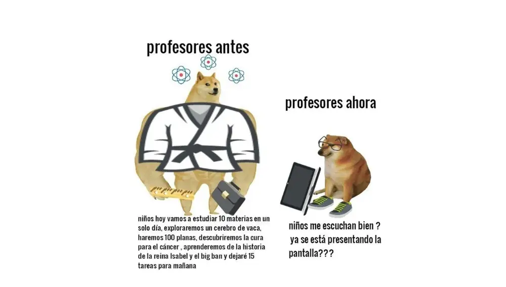 Las redes de luto: Muere 'Cheems', el perrito de los memes más famoso ...
