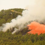 Un efectivo aéreo trabaja en las tareas de extinción en el incendio de Tenerife