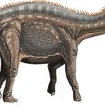 Dinosaurio Dicraeosaurus hansemanni, de la familia del nuevo dinosaurio hallado en la India