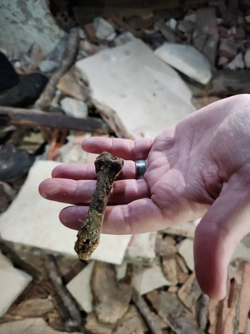 Restos hallados por miembros de la Asociación por la Reconciliación y la Verdad Histórica este invierno en el mausoleo