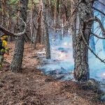 MADRID.-VÍDEO: Un incendio forestal afecta a la zona Fuente del Cura de Miraflores de la Sierra (Madrid)