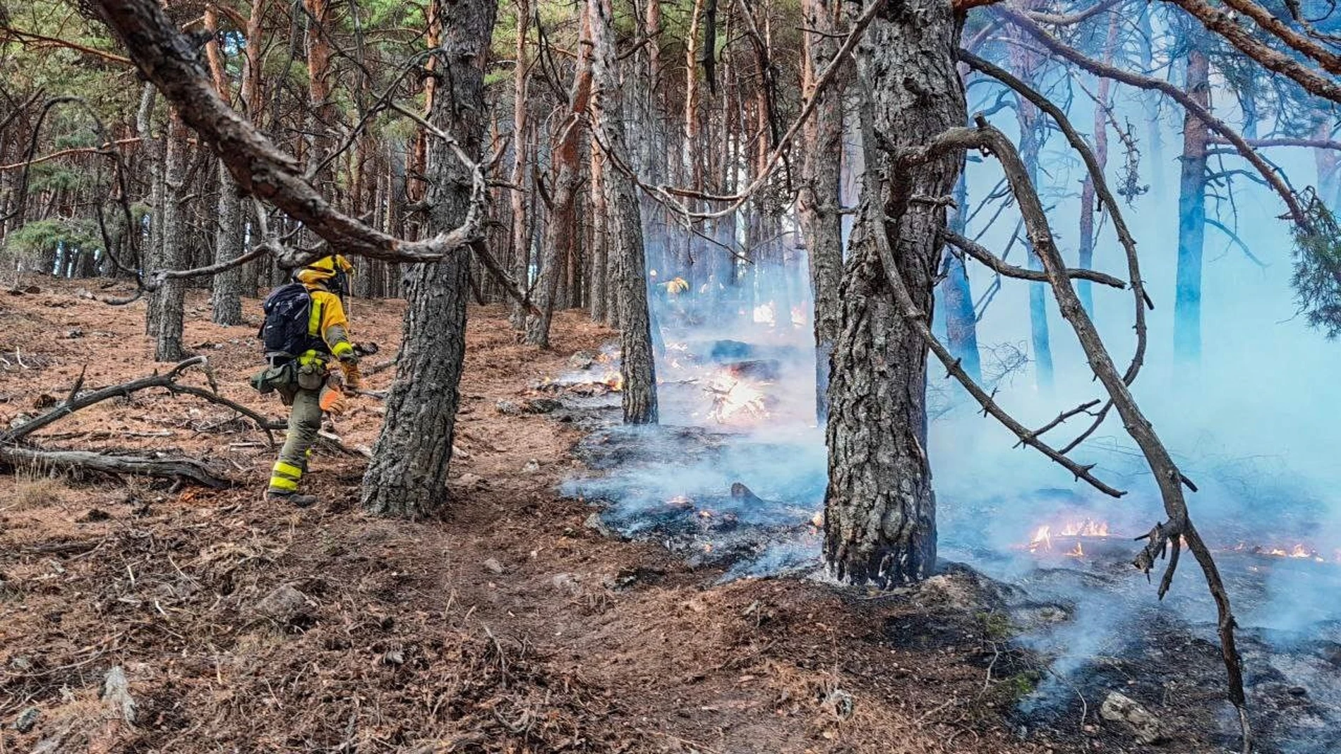MADRID.-VÍDEO: Un incendio forestal afecta a la zona Fuente del Cura de Miraflores de la Sierra (Madrid)
