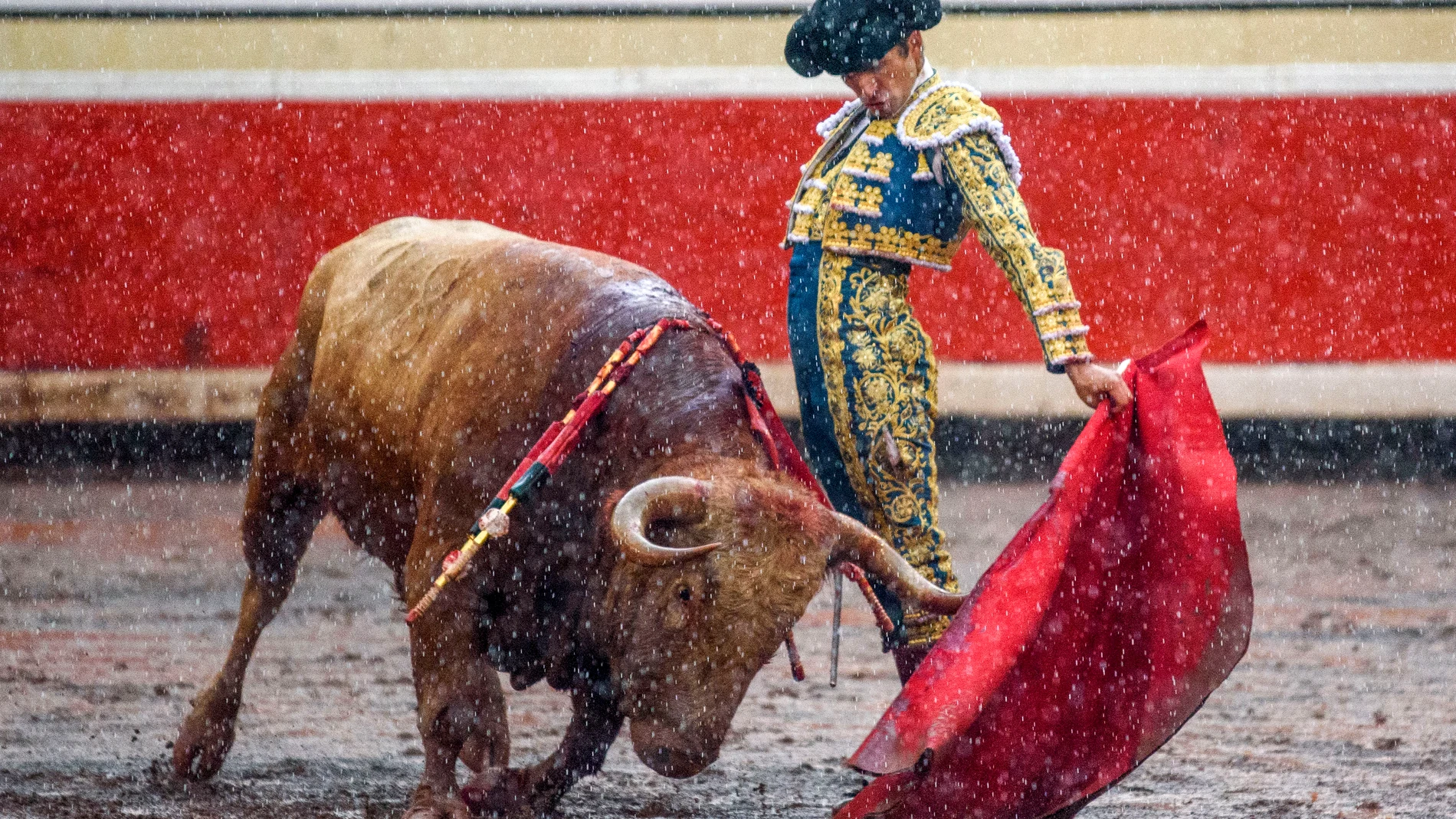 BILBAO, 27/08/2023.- El torero Damián Castaño ha conseguido una oreja con el segundo de los de su lote, durante la corrida de la Feria de Bilbao celebrada este domingo en la plaza de toros de Vistalegre. EFE/Javier Zorrilla
