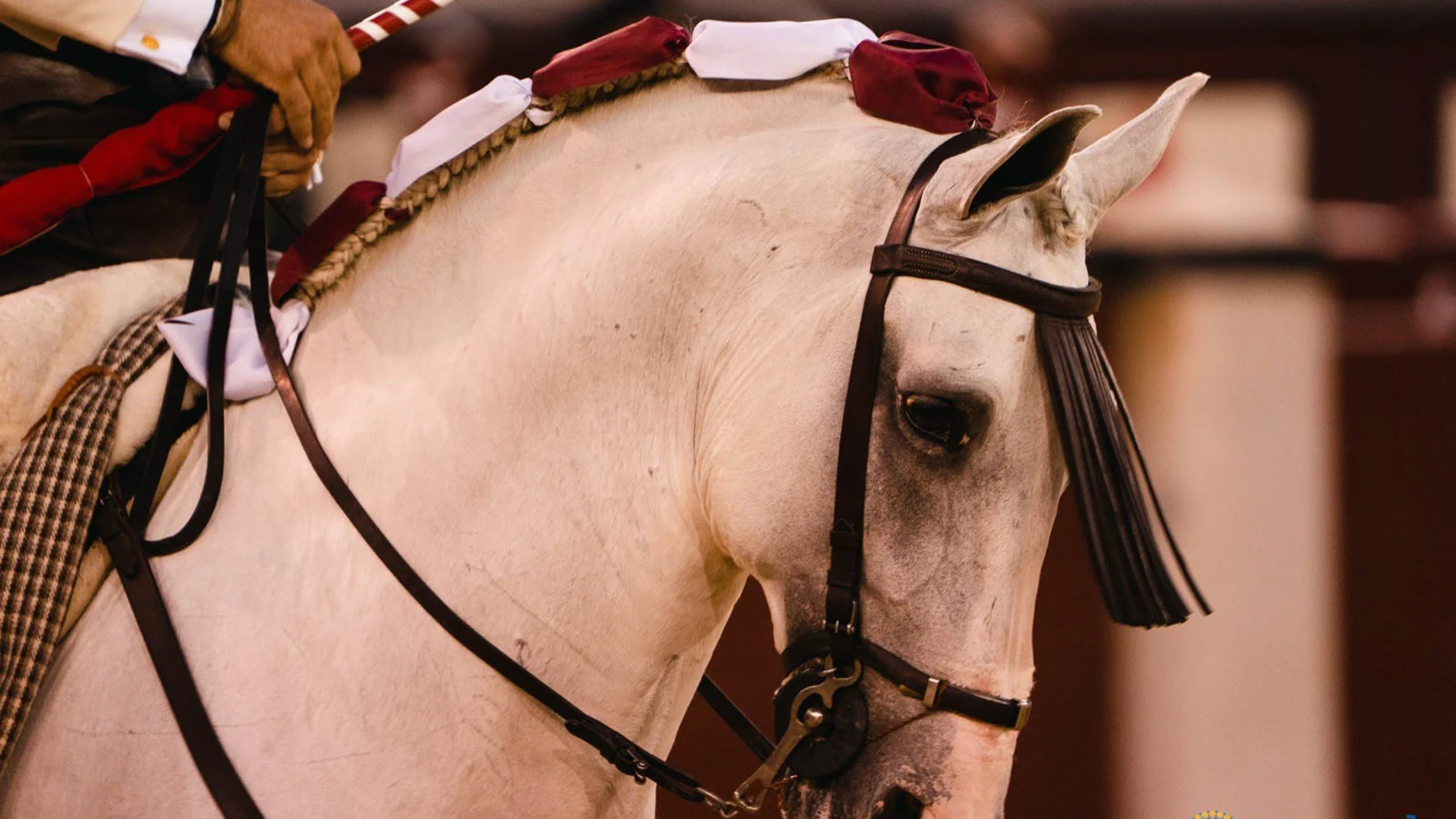 El toreo a caballo se toma Las Ventas en el último festejo de agosto