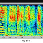 Vocalizaciones de murciélagos generadas mediante una red neuronal de IA