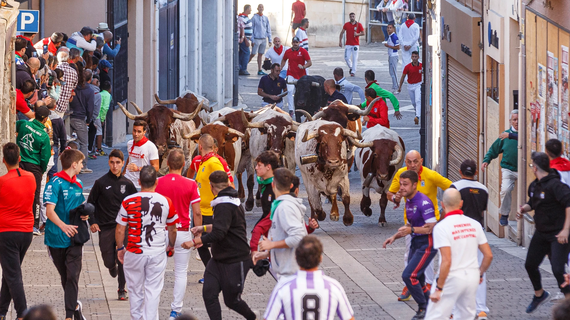 Encierros de Cuéllar