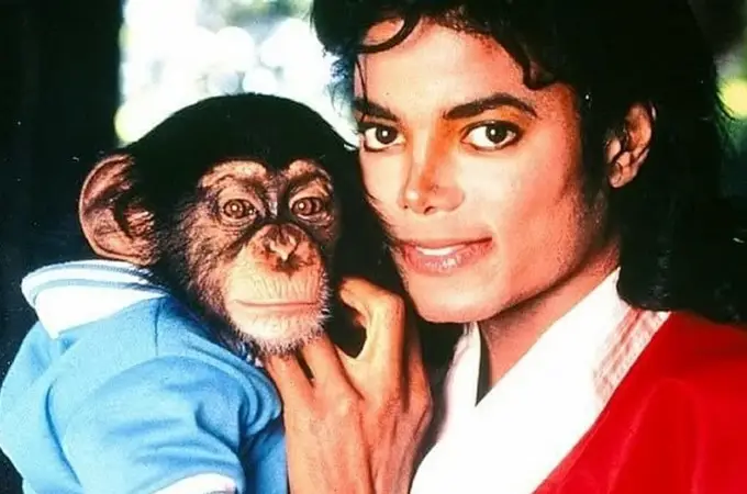 ¿Dónde está Bubbles, el chimpancé de Michael Jackson?