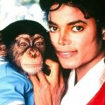 ¿Dónde está Bubbles, el chimpancé de Michael Jackson?