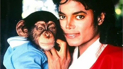 ¿Dónde está Bubbles, el chimpancé de Michael Jackson?