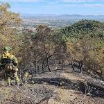 Aspecto que tiene la zona afectada por el incendio del pasado 29 de agosto en El Valle Perdido.