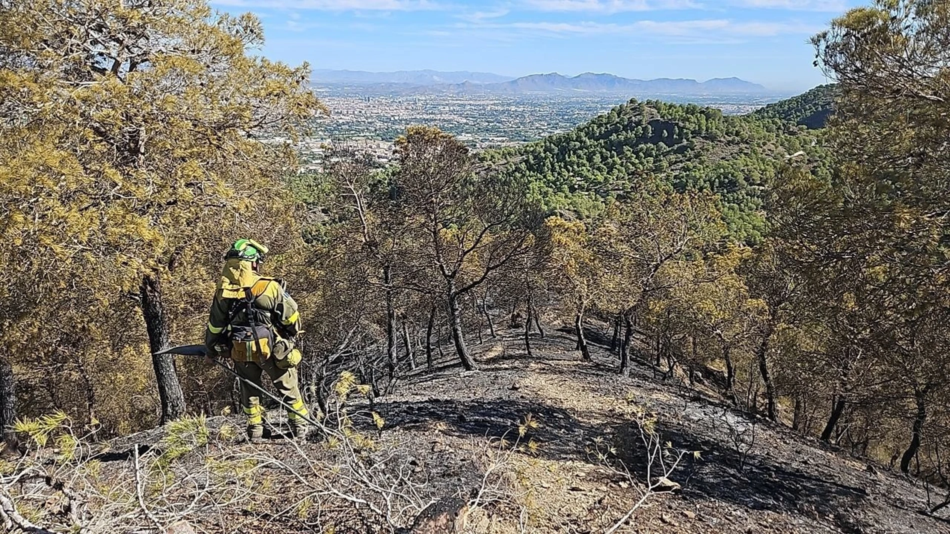 Aspecto que tiene la zona afectada por el incendio del pasado 29 de agosto en El Valle Perdido.