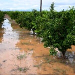 Efectos de las lluvias en Castellón