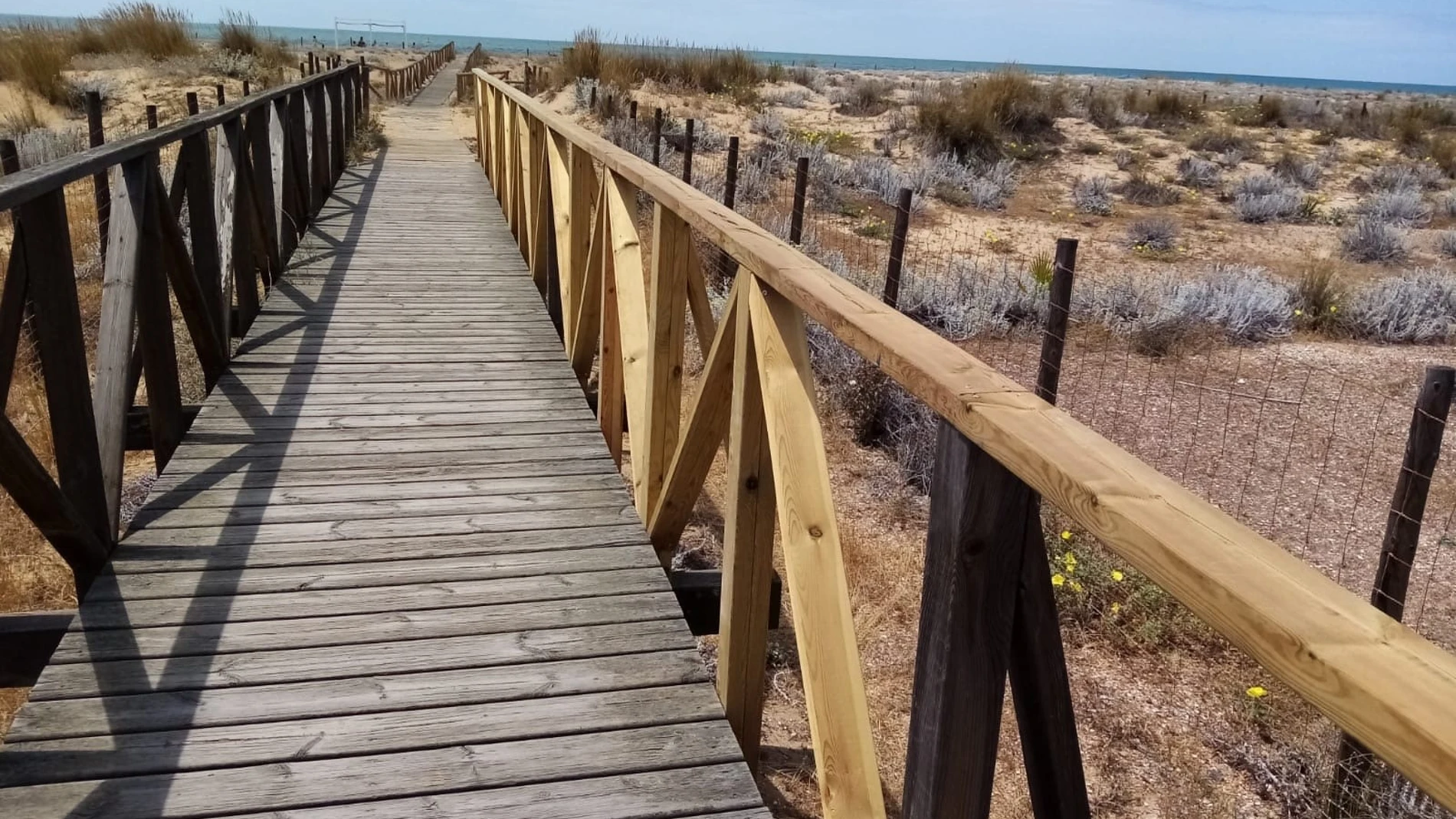 Investigan el hallazgo de restos óseos humanos en la playa del Espigón de Huelva