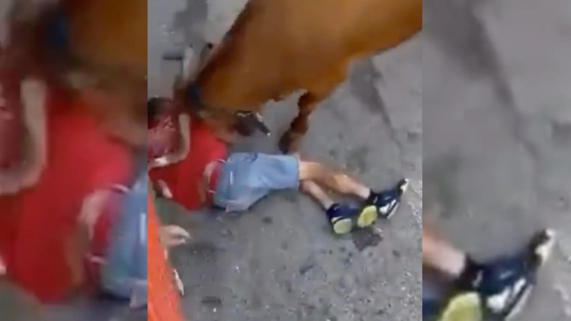 Un toro embiste bruscamente a un joven contra los cadafales en los 'bous al carer' de Montroi