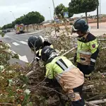 Bomberos del CEIS retirando ramas de los árboles caídos en la vía durante el temporal