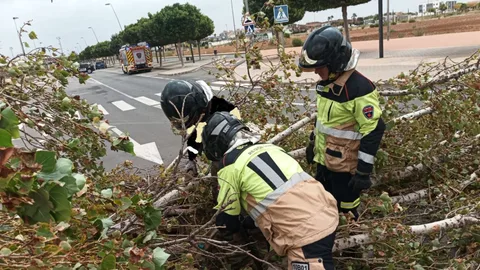 Bomberos del CEIS retirando ramas de los árboles caídos en la vía durante el temporal