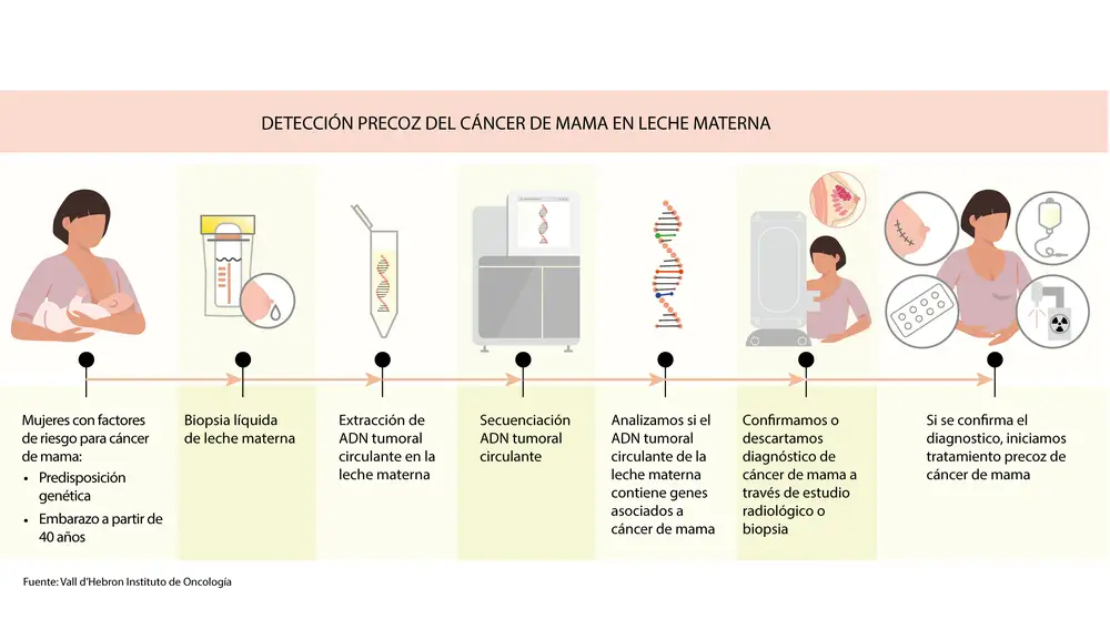 Resumen del procedemiento para una detección precoz del cáncer de mama a través de una biopsia líquida de leche materna