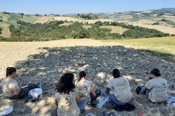Trabajos arqueológicos del Proyecto Metauro