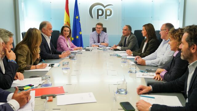 El presidente del PP, Alberto Núñez Feijóo en la junta directiva nacional del partido 