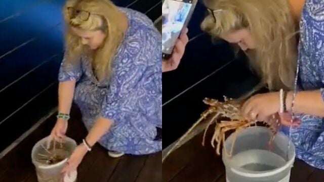 Una turista compra una langosta de 200 euros en un restaurante de Cerdeña, la acaricia y la devuelve al mar