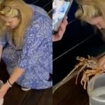Una turista compra una langosta de 200 euros en un restaurante de Cerdeña, la acaricia y la devuelve al mar