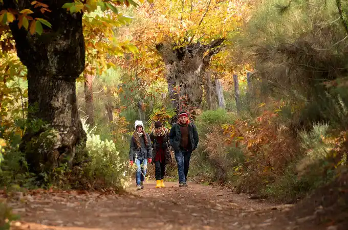 Los pueblos donde descubrir el otoño andaluz