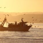 Economía/Pesca.- Agricultura refuerza el acceso al crédito de los sectores pesquero y acuícola