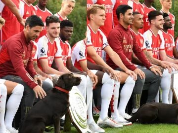 El Arsenal incluye en la foto oficial de la temporada a Win, el perro labrador del equipo