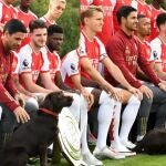 Win, el perro labrador del Arsenal