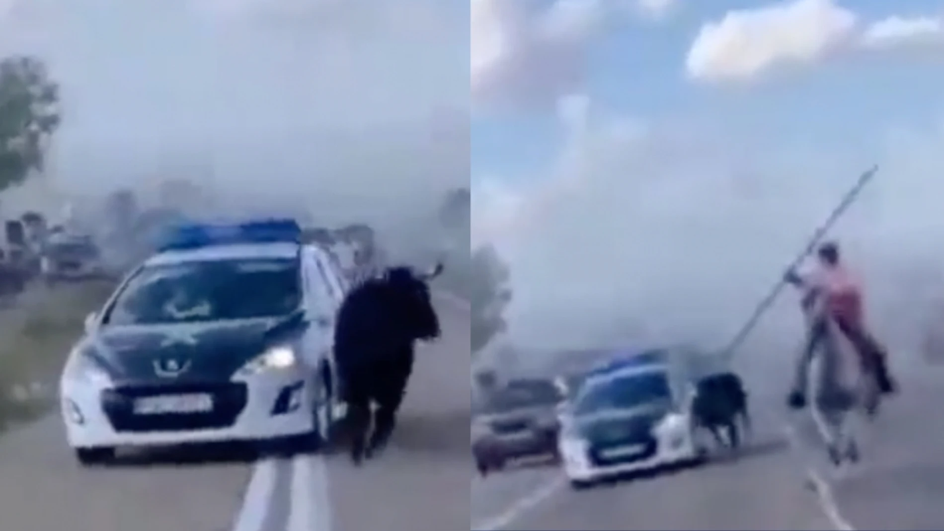 Un toro embiste un coche de la Guardia Civil en un pueblo de Valladolid