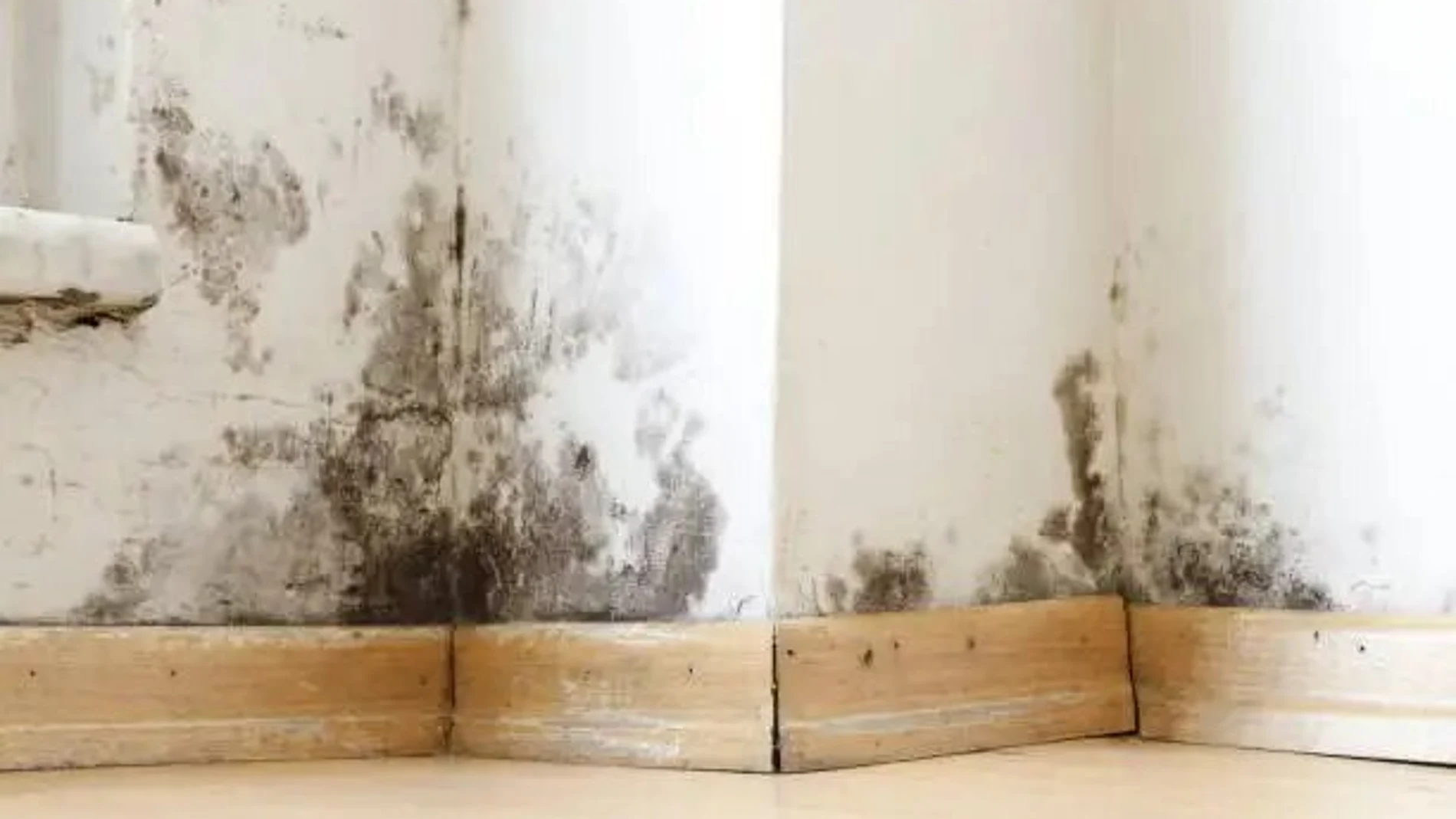 Como eliminar manchas de humedad en paredes y techos