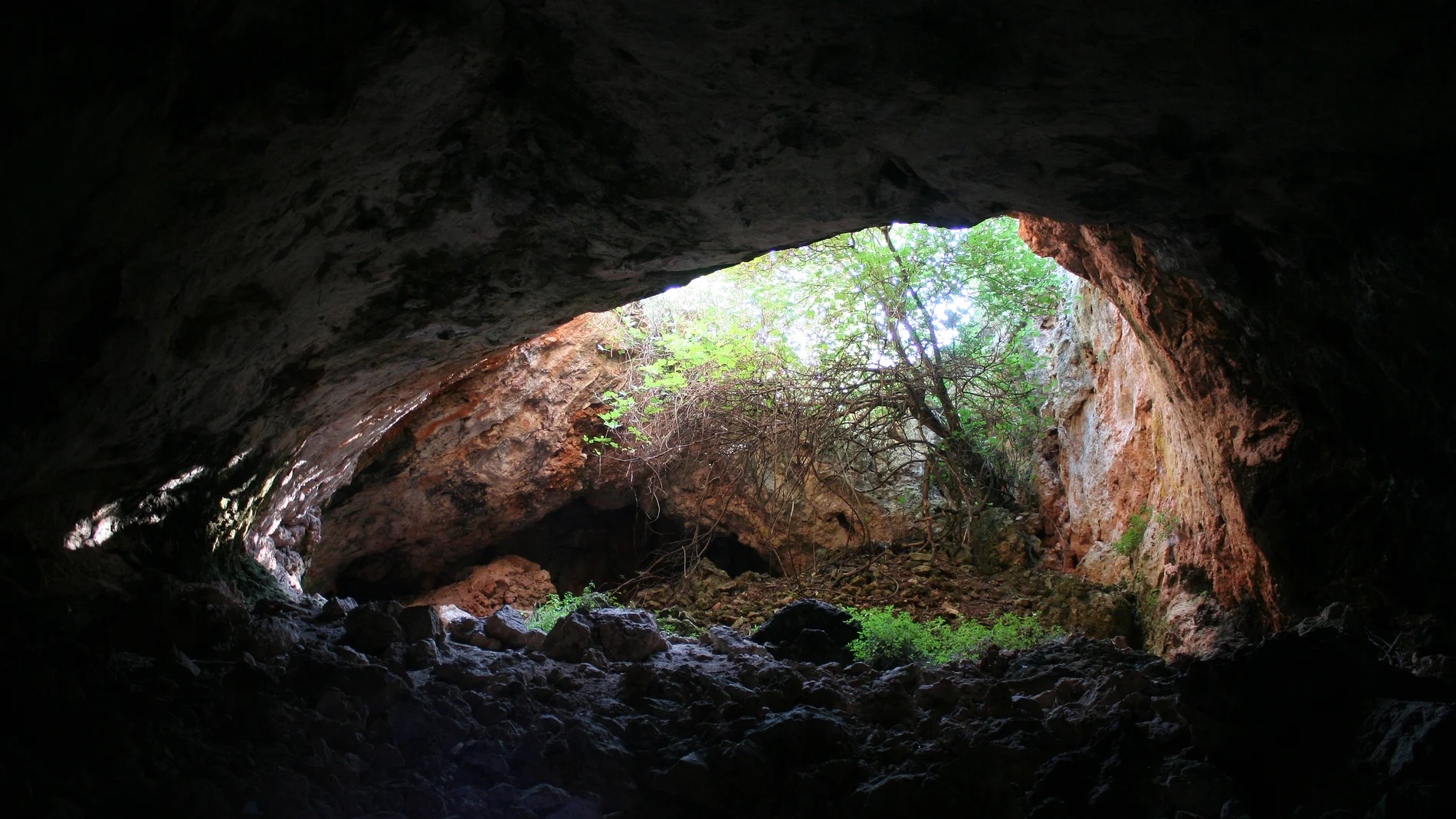 Vista de la entrada de la cueva (desde dentro) 