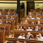 Continúa el debate de las lenguas cooficiales en el Congreso