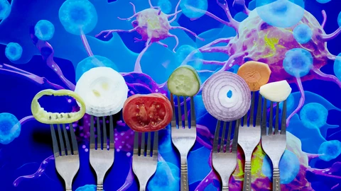 Mejorar el sistema inmune contra el cáncer con la dieta