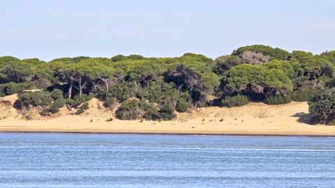 Primera sentencia de cárcel a favor de Doñana