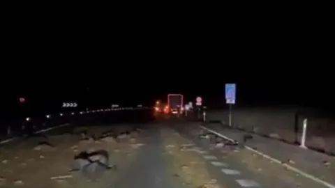 Múltiple atropello en la A-5 de Toledo con un centenar de cabras muertas