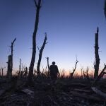 Ukrainian servicemen walk through a charred forest at the frontline a few kilometers from Andriivka, Donetsk region, Ukraine