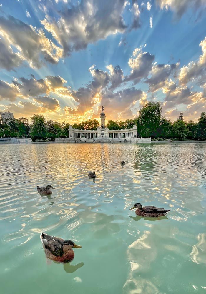 Rayos del sol al amanecer y cinco ánades reales sobre el agua