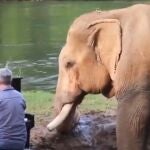 Paul Barton toca el piano para un elefante ciego en Tailandia