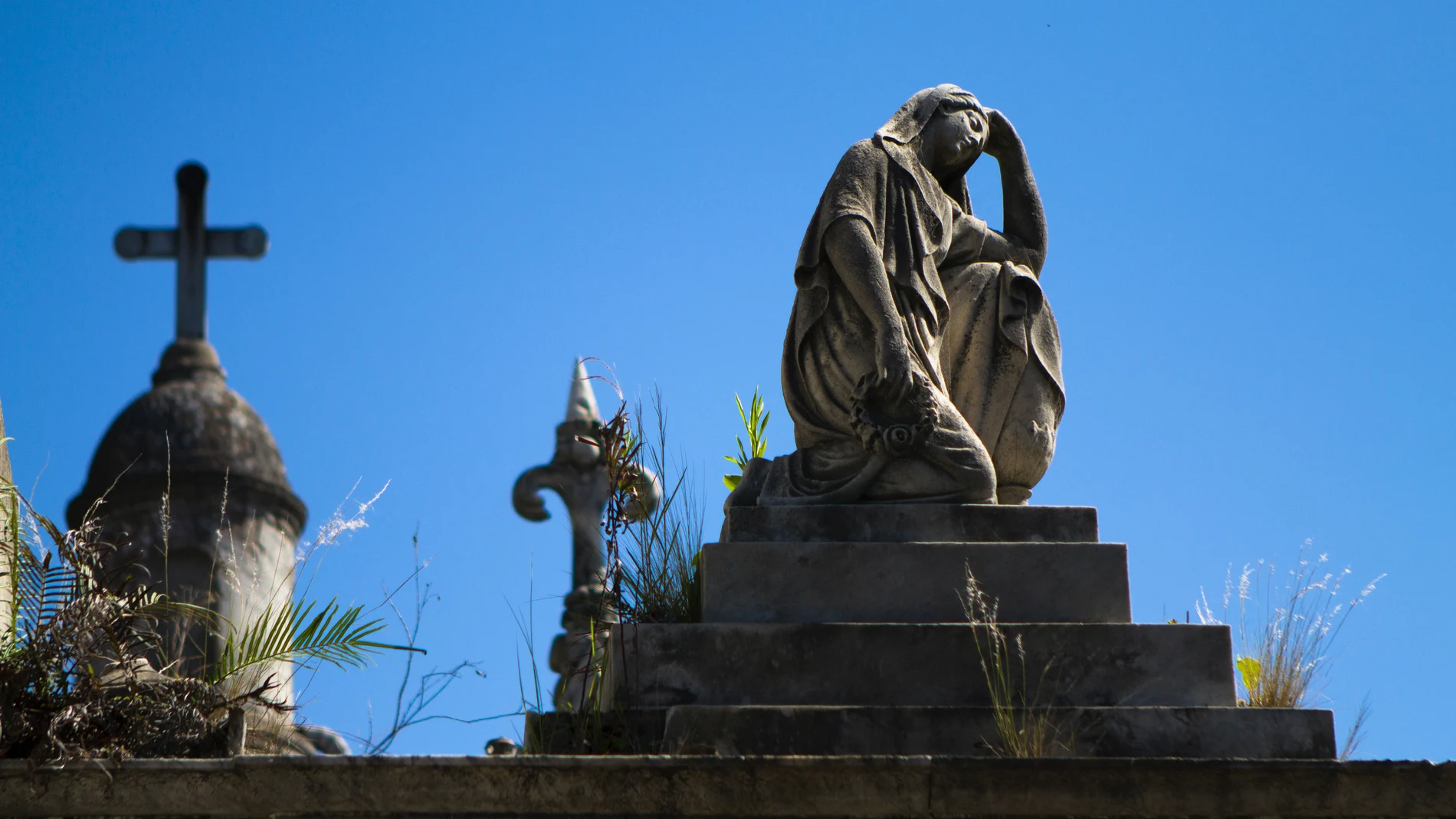 El cementerio de San Gabriel de Málaga se ilumina con energía solar